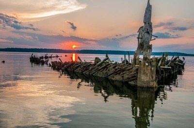 You're Invited to Help Protect Mallows Bay!