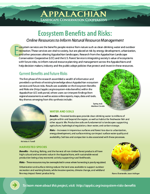 Ecosystem Benefits and Risks