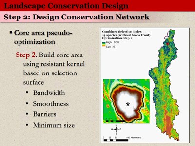 Presentation: Species-based approach to Conservation Design