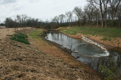 Harpeth River Restoration