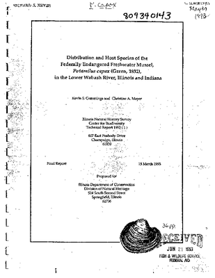 Cummings Mayer 1993.pdf