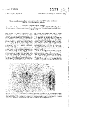 Liu Mitton 1996.pdf