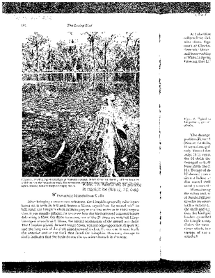 Snyder Snyder 1969.pdf
