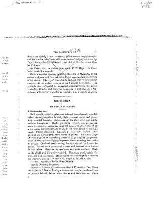 Wright 1898.pdf