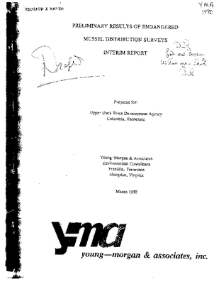 YMA 1990.pdf