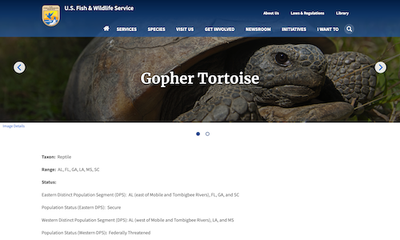 U.S. Fish & Wildlife Service Gopher Tortoise