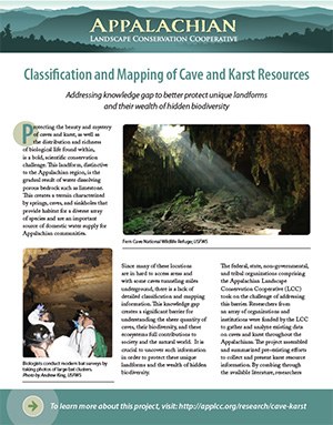 Fact Sheet: Cave and Karst Resources