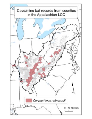 County Occurrence Map for Rafinesque’s Big-eared Bat