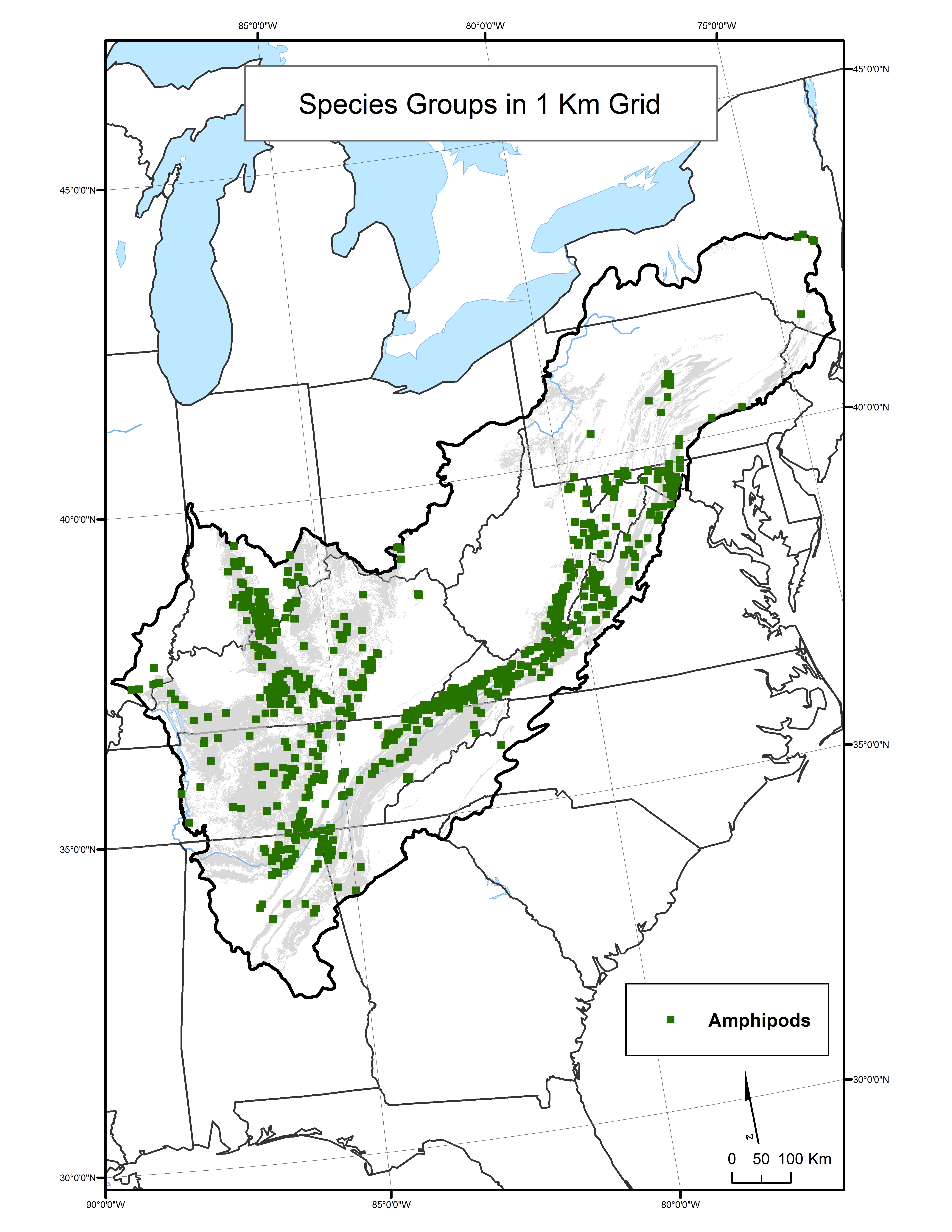 Amphipod Species Distribution by 1 km Grid