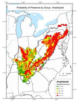 Probability of Presence for Amphipods