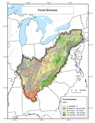 Forest Biomass