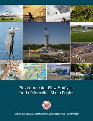 Environmental Flow Analysis for the Marcellus Shale Region PDF