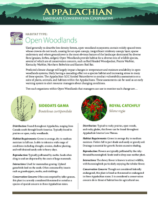 CCVA Fact Sheet: Open Woodlands
