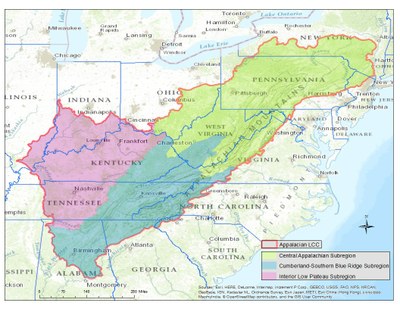 Division of the Appalachian LCC into ecologically consistent subregions used for climate change vulnerability assessments