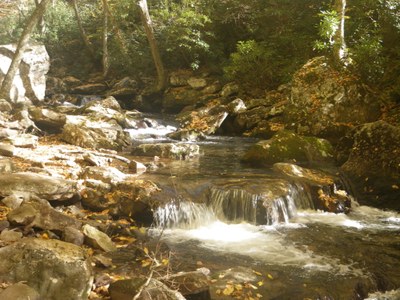 Stream in Cascades Park in western Virginia
