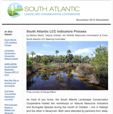 SA LCC Newsletter