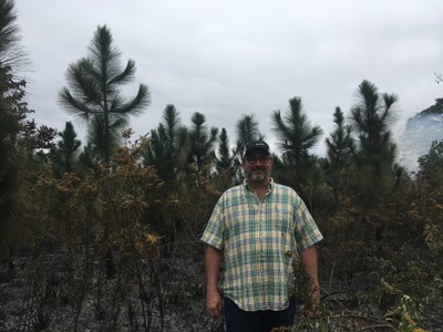 Landowner Before Site Burn Florida