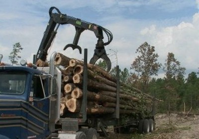 Logging Truck North Carolina