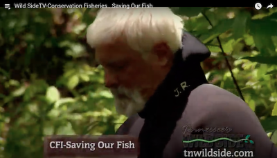 TN Wild Side - Conservation Fisheries...Saving Our Fish