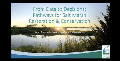 Webinar: From data to decision: Pathways for salt marsh conservation and restoration